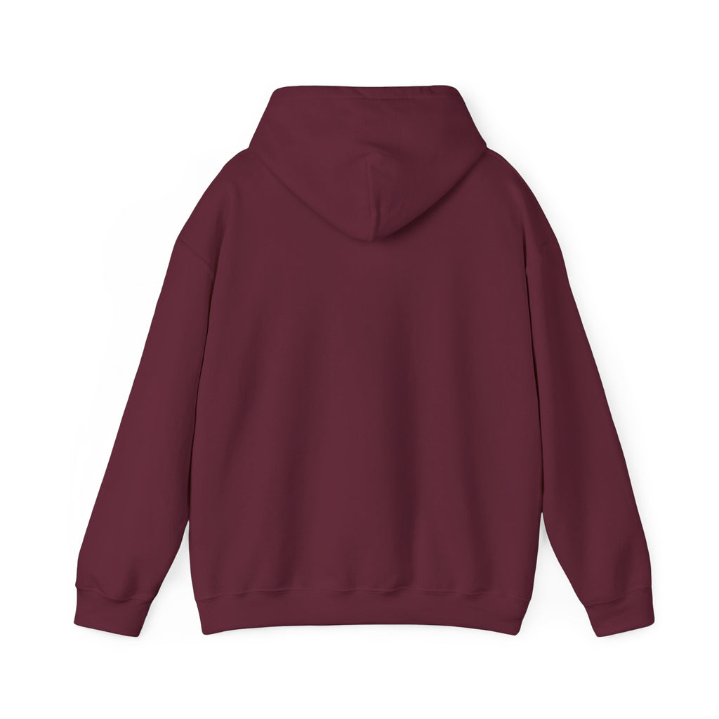 Gothic Angel Gaming Hoodie - "Save the Brave" Graphic Pullover