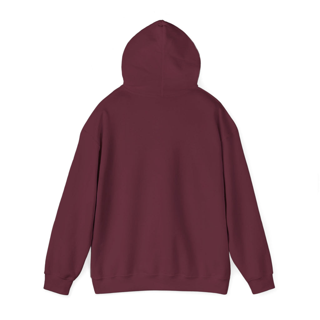 Gothic Angel Gaming Hoodie - "Save the Brave" Graphic Pullover